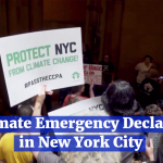 NYC Calls For Climate Emergency