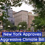 New York Wants To Go Carbon Free