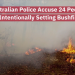 New South Wales Police Charge People For Intentional Bushfires
