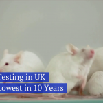 Animal Testing Is Not Trending In The UK