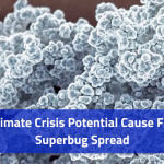 Climate Change Is Releasing New Illnesses