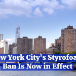 NYC Styrofoam Law Is Now Active