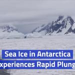 Scientists Are Trying To Understand The Loss Of Sea Ice In Antarctica