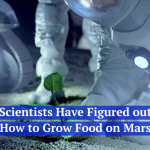 Scientists Figure Out Growing Food On Mars
