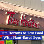 Tim Hortons Is Looking Into Fake Eggs