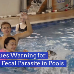 Watch Out For This Pool Parasite