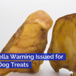 A Salmonella Warning For These Dog Treats