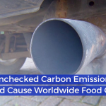 Carbon Emissions Affect The World Food Supply