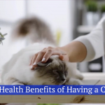 Maybe You Should Get A New Cat