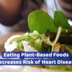 Plant Based Foods Reduce Chances Of Heart Disease