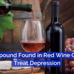 The Link Between Red Wine And Solving Depression