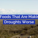 These Foods Affect The Supply Of Water