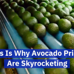 What’s Behind The Cost Of An Avocado