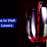 Wine For Real Wine Lovers