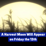 A Rare Harvest Moon Is Coming