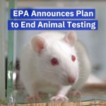 The EPA Will Cut Down On Cruelty To Animals