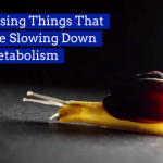 What’s Slowing Your Metabolism Down