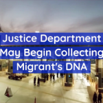 Border Agents Might Collect Cheek Swabs Soon