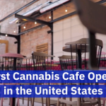 The U.S. Sees First Cannabis Cafe