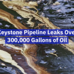 A Major Leak In The Keystone Pipeline