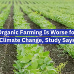 The Facts On Organic Farming