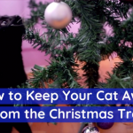 Cats Love Christmas Trees