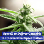 SpaceX Takes Cannabis Off World